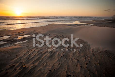 Sunset On Sand Dunes Along The Oregon Coast. Stock Photo | Royalty-Free ...