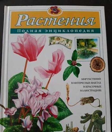 Энциклопедия о растениях | Festima.Ru – частные объявления