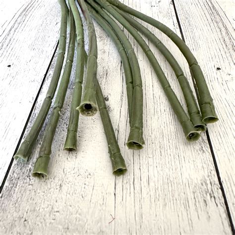 Thick Naked Floral Stems For Diy Bouquets Inches Green Stems Etsy