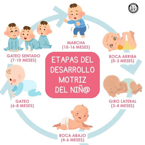 O Que Significa Motriz - ¿Qué es el desarrollo motriz del niño? Conoce sus etapas