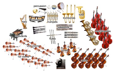 Symphony Orchestra Layout