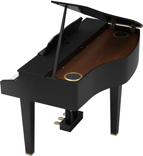 Roland Gp Pe Digital Grand Piano Theera Music