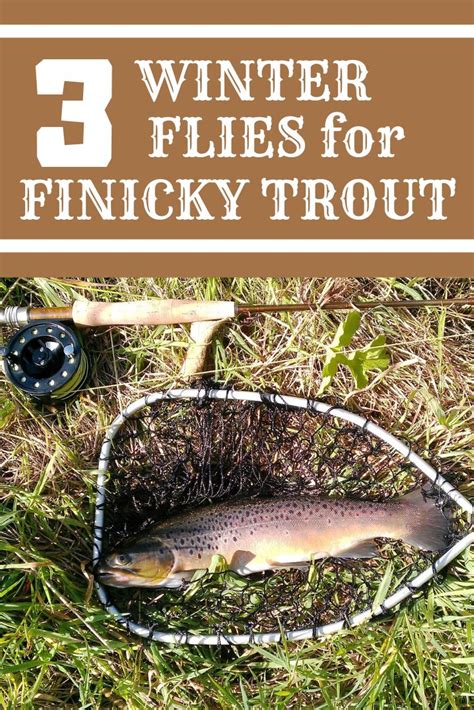 Top 3 Flies For Catching Winter Trout A Man And His Rod Fly Fishing