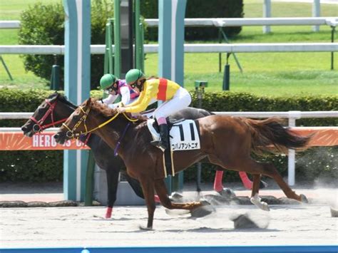 【小倉6r新馬戦結果】9番人気のコパノアントニオが差し切りv！ ライブドアニュース