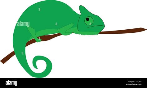 A Big Green Chameleon Vector Or Color Illustration Stock Vector Image