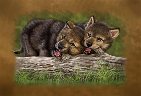 Cute Wolf Pups Drawings