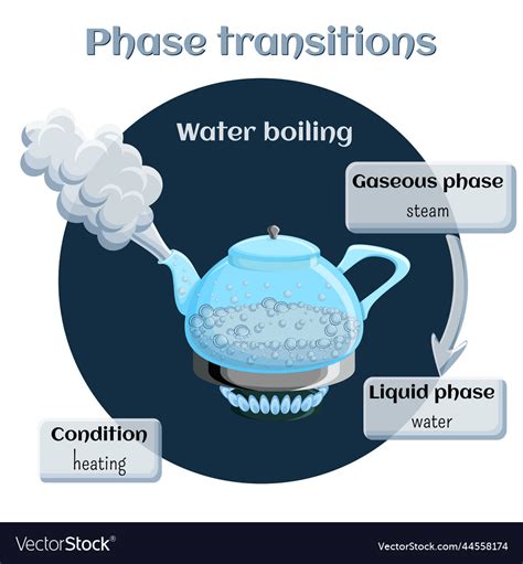 Changes of states evaporation - water boiling Vector Image