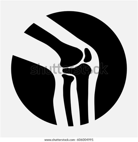 Vector Human Knee Joint Side View Stock Vector Royalty Free 606004991