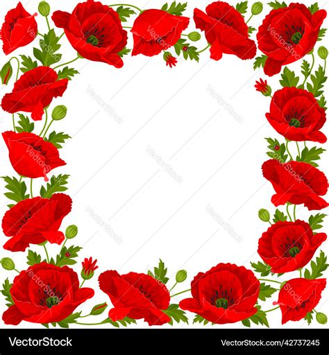 Square Frame With Red Poppies Royalty Free Vector Image