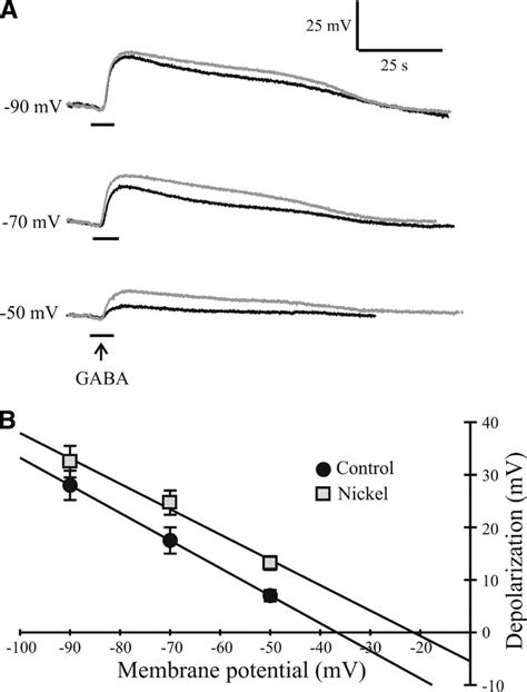 Blockade Of Ca Channels By Ni 2 Enhanced GABA Induced Depolarization