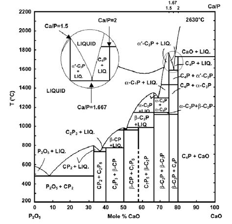 Phase Diagram Of The System Cao P O C Cao P P O At