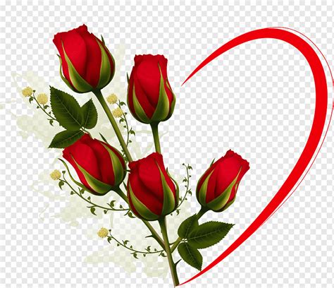 Valentines Day Rose Rose Love Love Flower Arranging Heart Png Pngwing