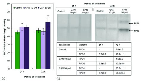 Activity Of Ppo In Roots Of Tomato Plants Grown In Water Control Or