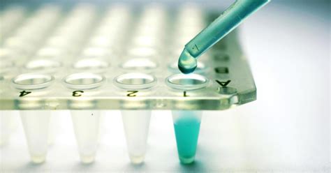 Understanding the Stem Cell Transplantation Process