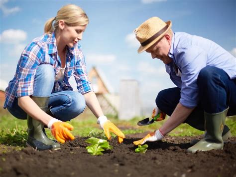 Horta No Quintal Como Cultivar Alimentos Frescos Em Casa Jardim Dos