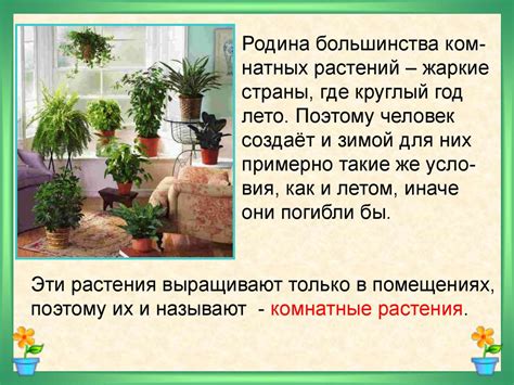 Мир комнатных растений - презентация онлайн