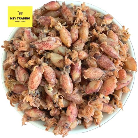 Sotong Kering Cumi Malaysia Saiz M Grade Aaa Dried Squid Cumi