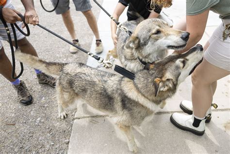The Creature Conservancy - mlive.com