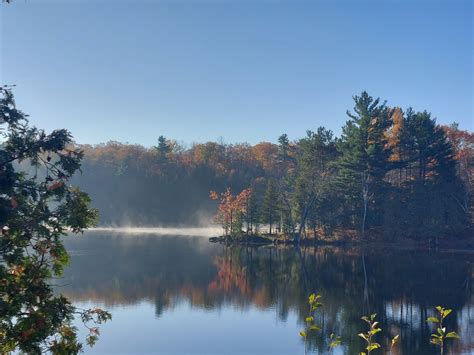 EDDMapS: Report your invasive species sightings!