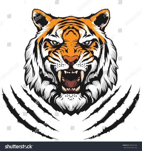 Tiger Head Stock Vector 289244282 Shutterstock