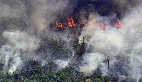 Bolsonaro Ordena Que Fuerzas Armadas Combatan Incendios En La Amazonía Noticias El Periódico