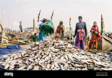 Chittagong Bangladesh December 23 2017 Fishermen Bringing Fresh