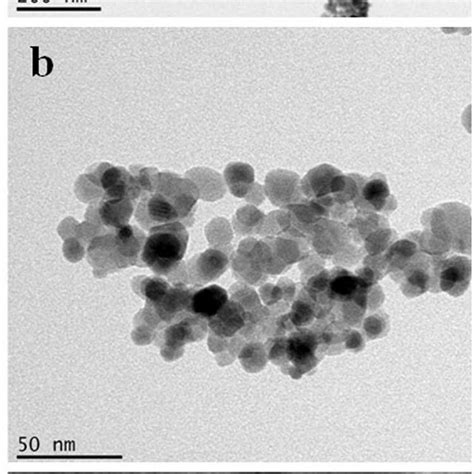 Tem Images Of Mq Agnps At Different Magnifications A K B