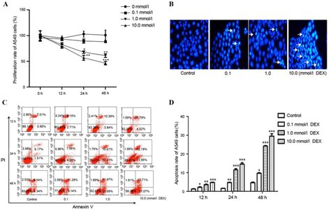 Dexamethasone Induced Apoptosis Of A549 Cells Via The Tgf β1smad2 Pathway