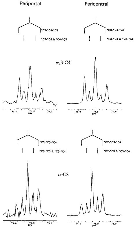 Proton Decoupled 13 C Nmr 500 Mhz Spectra And Schematic Of Positional Download Scientific