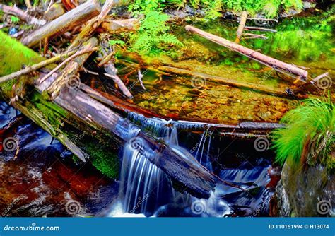 Beautiful Brook With Waterfall At Spring Daylight Stock Photo Image