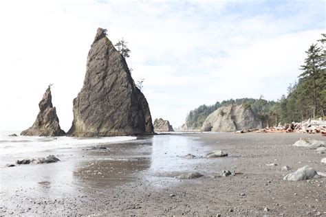 The Best Beaches Of Olympic National Park Janessa And Colin