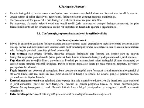 Solution Anatomie Curs Ro Studypool