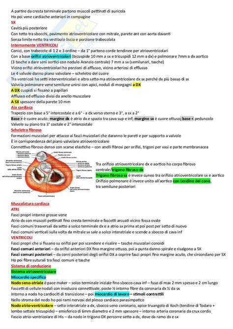 Riassunto Esame Anatomia Umana Prof Lang Alessandra Libro