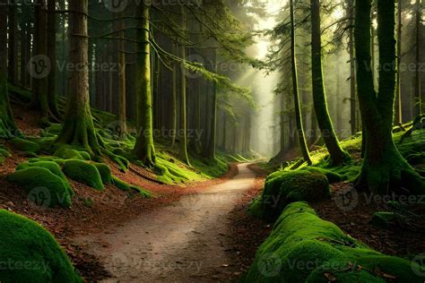 A Path Through A Green Forest With Mossy Trees Ai Generated