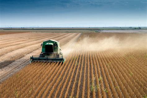 21 das 100 maiores empresas do agro brasileiro são do Paraná Sou Agro