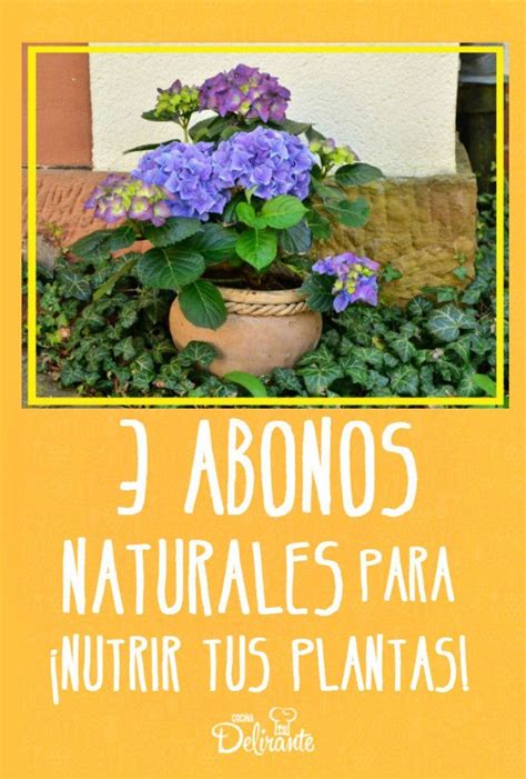 Abonos Y Repelentes Caseros Para Nutrir Tus Plantas Y Fortalecerlas