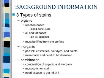 Science Fair Powerpoint by Stacey Michelle | Teachers Pay Teachers