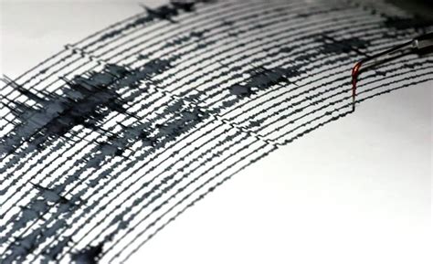 Seismic activity graph Stock Photos, Royalty Free Seismic activity ...