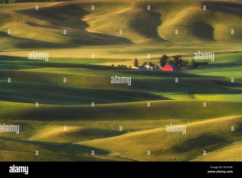 Sun Set Light At Steptoe Butte Washington The Beautiful Scene Of