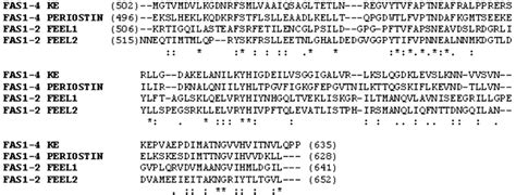 Clustalw Multiple Sequence Alignment Of Different Human Fas Domains