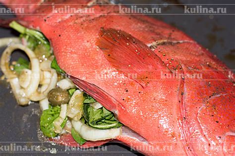 Красный окунь в духовке – рецепт приготовления с фото от Kulina.Ru