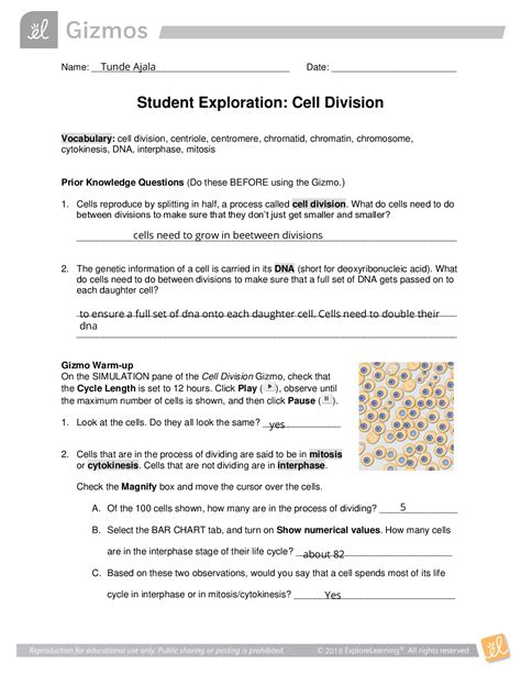 Explore Learning Gizmo Student Exploration Meiosis Vocabulary