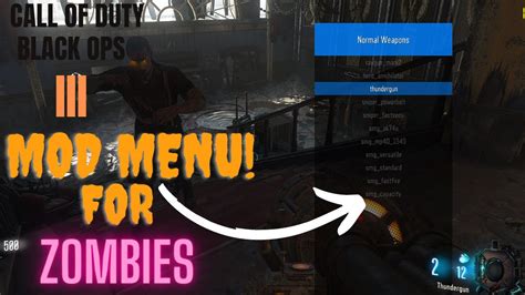 Cod Bo3 Zombies Mod Menu Tutorial Youtube