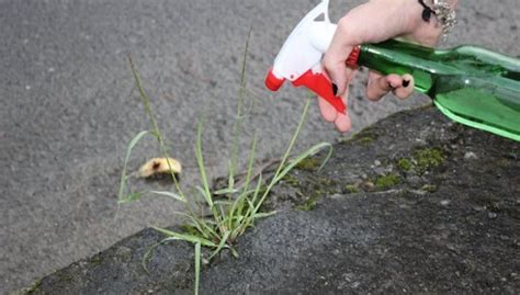 La méthode infaillible pour enlever ces mauvaises herbes laides qui