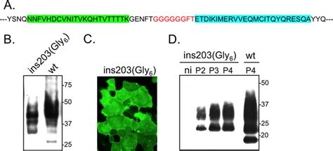 Prp Ins Gly Is Convertible Into Prion A Amino Acid Sequence Of