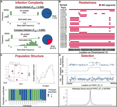 Frontiers Population Genomics In Neglected Malaria Parasites