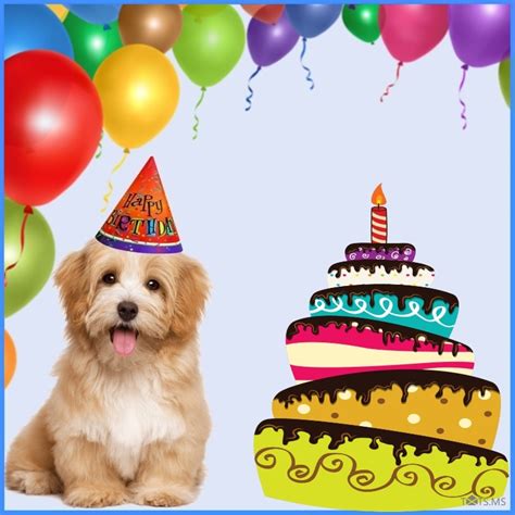 Birthday Wishes For Dog Txtsms