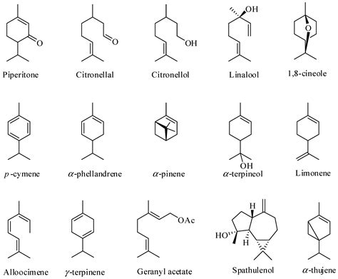 Molecules Free Full Text Chemical Variability And Biological