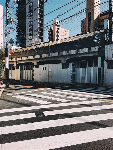 Japan Zebra Crossings In Tokyo Del Colaborador De Stocksy