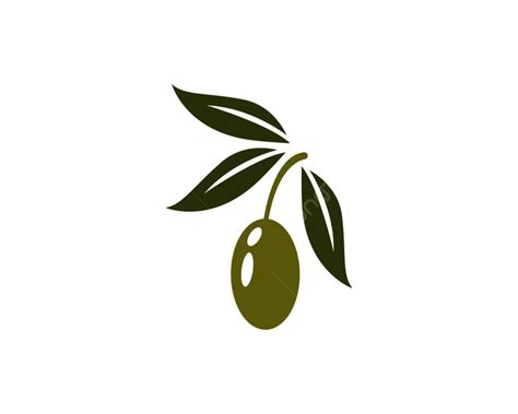 Olive Logo Template Vector Design Symbol Agriculture Virgin Png And